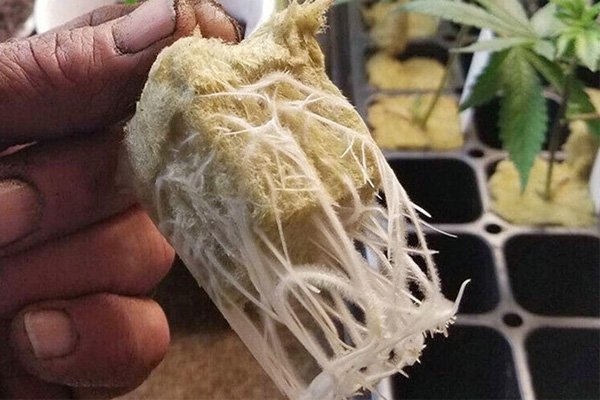 立体农业种植栽培岩棉