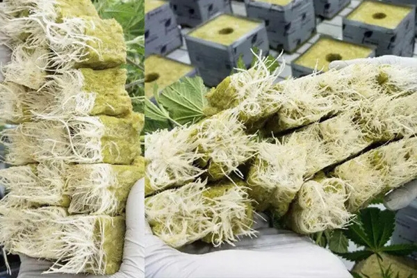 农业种植多孔纤维棉