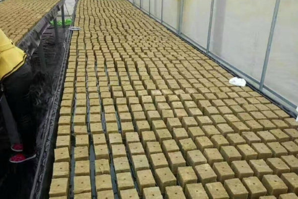 农用种植岩棉